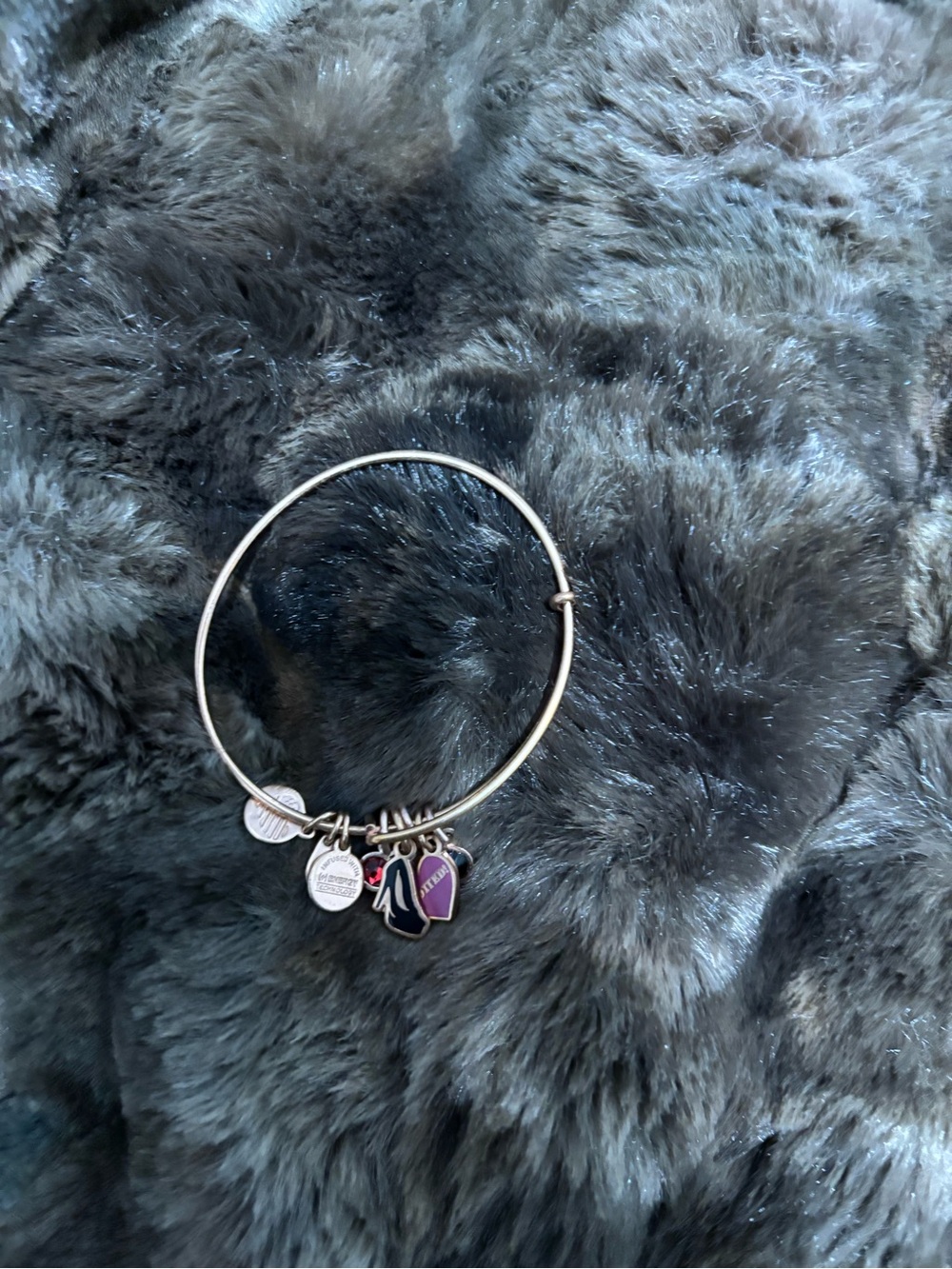 Alex and Ani Silver Expandable Bangle with Purple Enamel Heart Charm